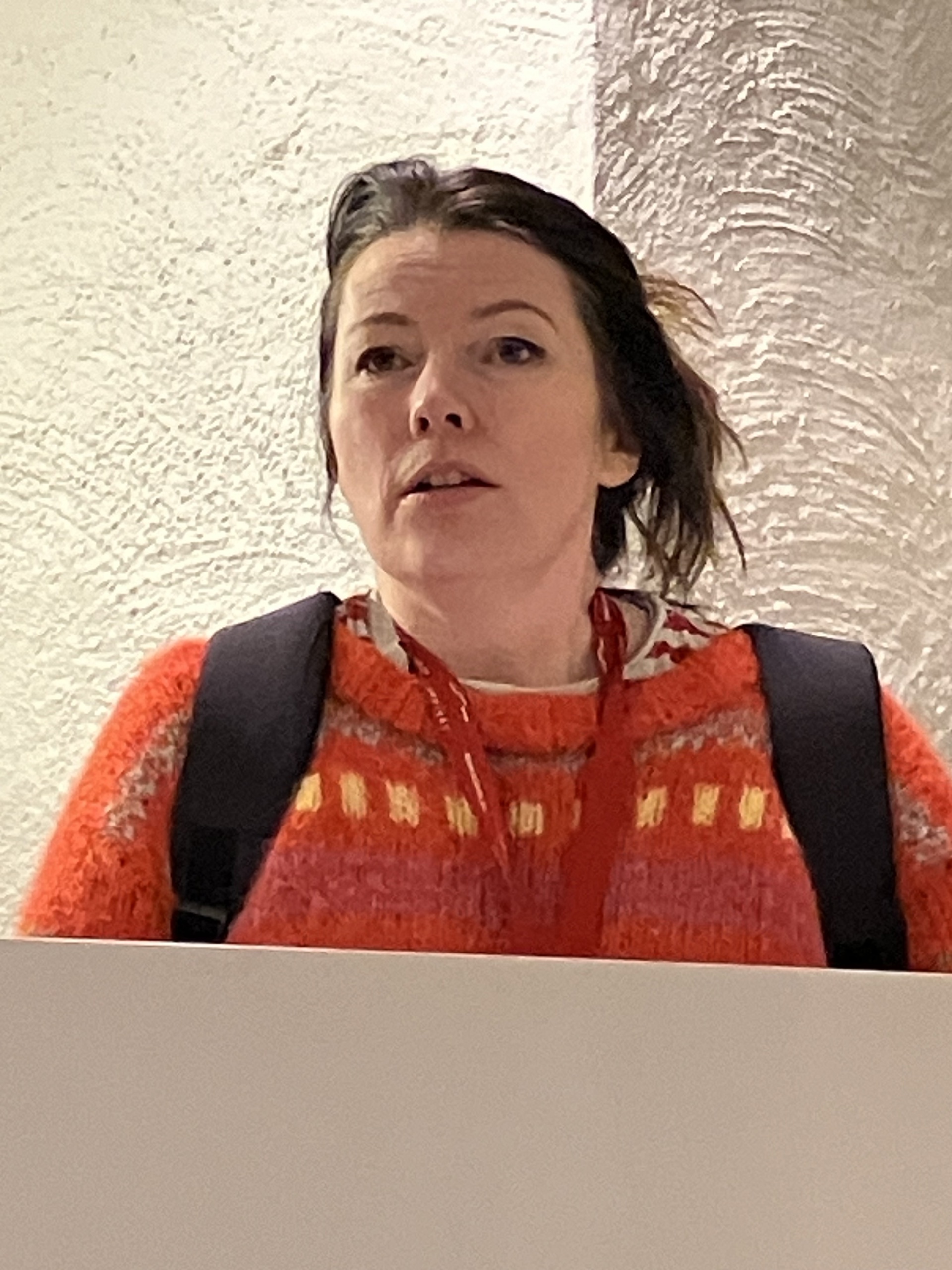 2024 Medlemsmøte 20/11