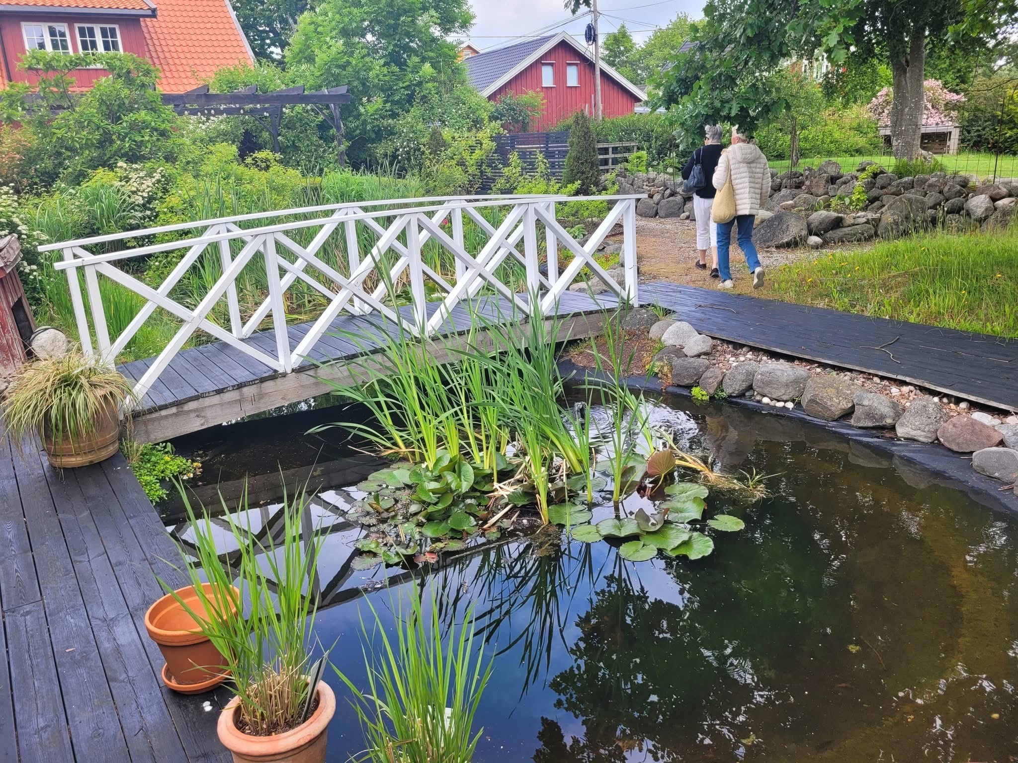 Artikkelbilde til artikkelen 2025 Bjellandstrand  17/6
